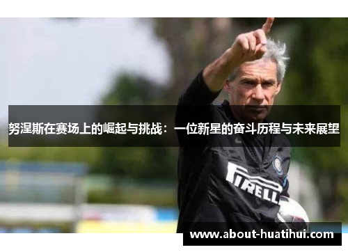 努涅斯在赛场上的崛起与挑战：一位新星的奋斗历程与未来展望